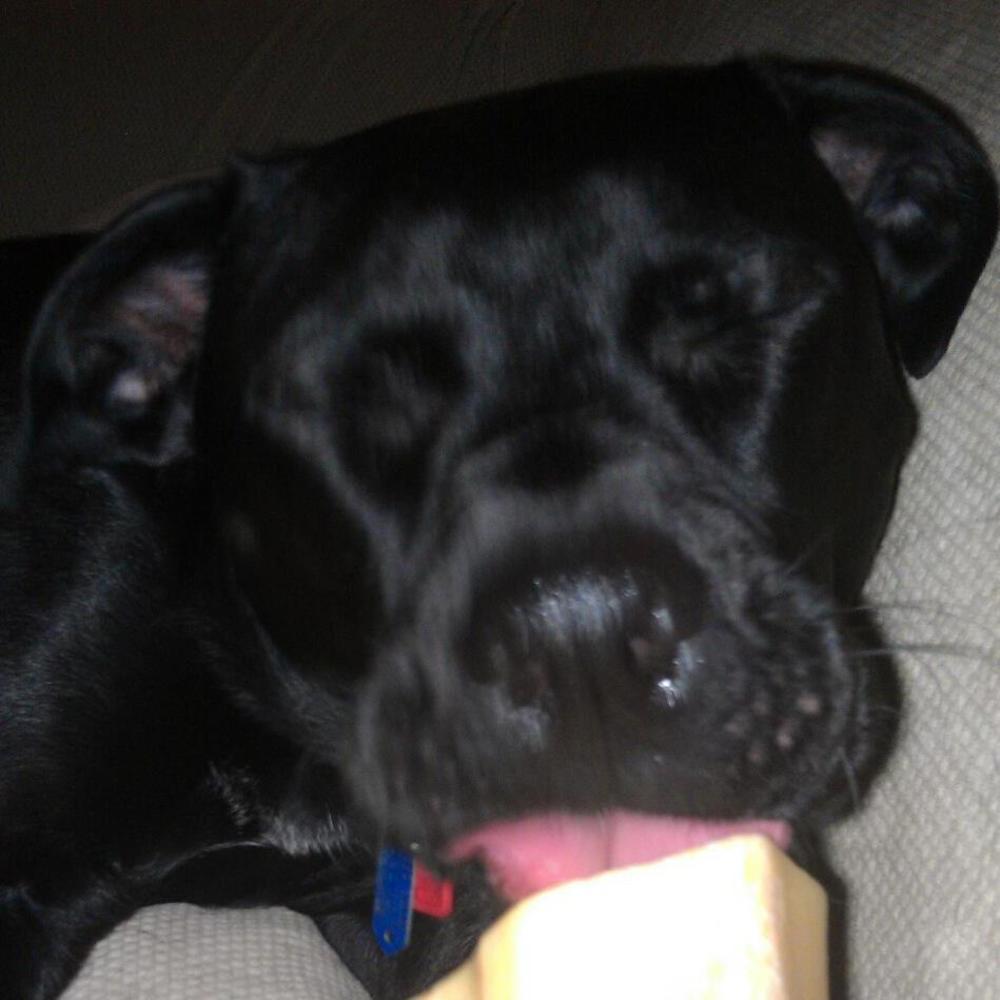 Meet your Posher, Jason